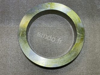 SMD50154 - Martyr ring