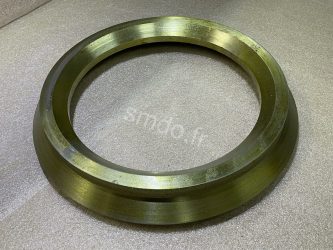 SMD51401 - Martyr ring